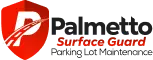 Palmetto Surface Guard